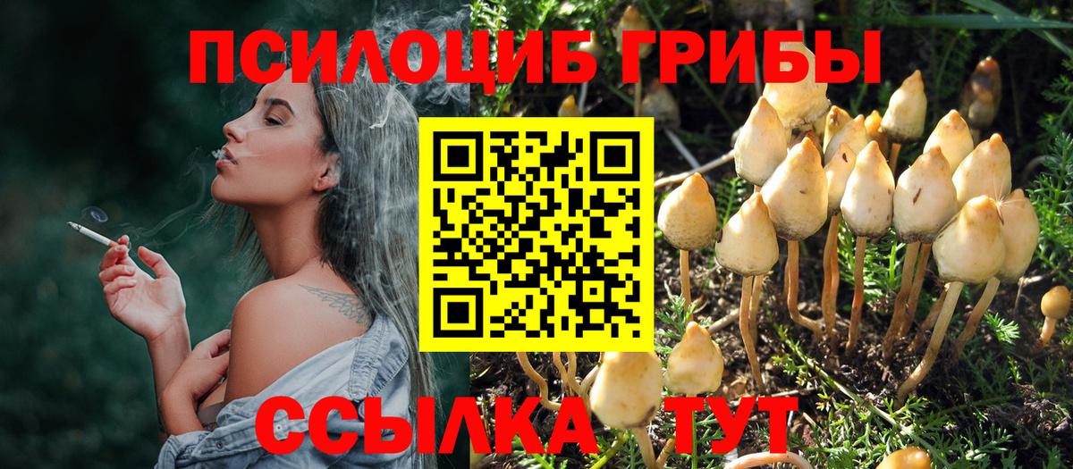 Карталы  Галлюциногенные грибы ЛСД  хочу   Вход с VPN 